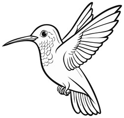 Obraz premium Hummingbird in Flight Outline, Flying with Wings Extended, Detailed Graphic Vector Illustration