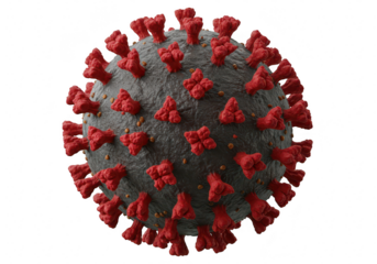 Detailed 3d rendering of the sarscov2 virus, the cause of covid19, isolated on a transparent background