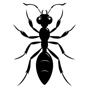 Black silhouette of a carpenter ant isolated on white background