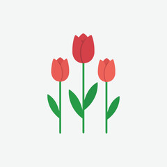 Red Tulip Flowers Vector Illustration for Spring and Garden.