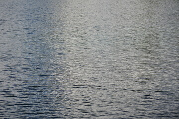 Several ripples on the body of the water