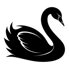 Obraz premium Elegant black swan silhouette swimming gracefully isolated on white background