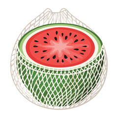A Whole Watermelon in a Reusable Mesh Bag - Vector Illustration