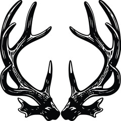 Black and white illustration of symmetrical deer antlers