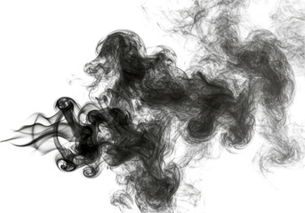 Fototapeta premium Abstract black smoke swirls isolated on transparent background