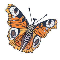 Monarch butterflies Vector hand drawn insect illustration isolated on white background