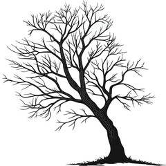 Obraz premium Leafless tree