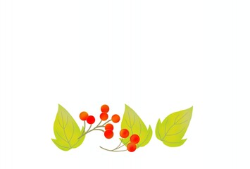 秋の植物のポストカード