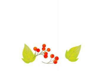 秋の植物のポストカード