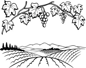 Vineyard Landscape with Hills and Grapes &ndash; Farming Vector Illustration
