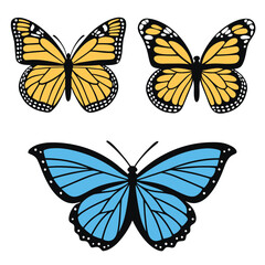 Obraz premium Three Vibrant Butterfly Illustrations: Two Yellow Monarchs and One Blue Morpho, Vector Style, Isolated on White Background, Perfect for Spring and Summer Designs, Nature Themes, and Children's Books.