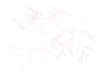 Intricate network of glowing white veins against a deep black background