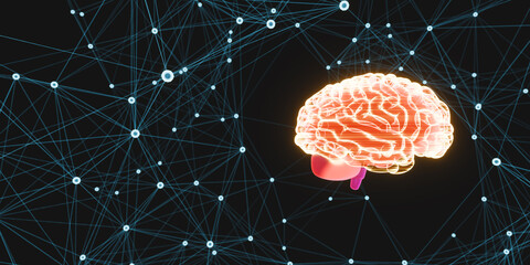 Holographic red brain on the right with digital neural network connections on dark background. Artificial intelligence, deep learning, and futuristic technology concept. © Lynn