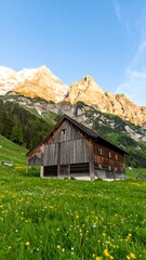 Fototapeta premium Mountain Barn Meadow Springtime Alps Landscape