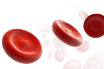 Red blood cells flowing in a microscopic view style