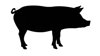 Fototapeta premium Elegant black silhouette of a pig standing, isolated on black background depicting farm animals