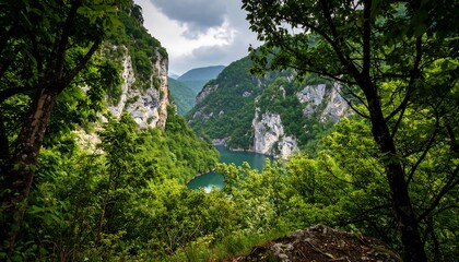 Lush valley with a serene lake