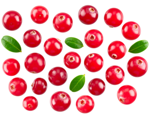 Cranberries with Green Leaves, scattered composition, isolated on transparent background PNG