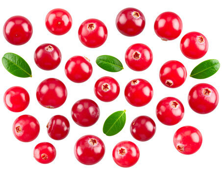 Cranberries with Green Leaves, scattered composition, isolated on transparent background PNG