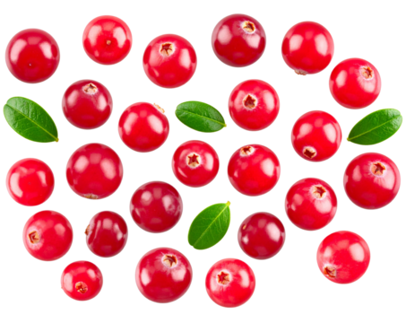 Cranberries with Green Leaves, scattered composition, isolated on transparent background PNG
