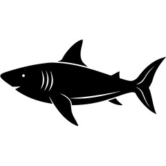 shark vector illustration