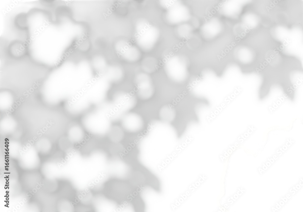 Poster abstract soft shadow pattern of leaves on a transparent background