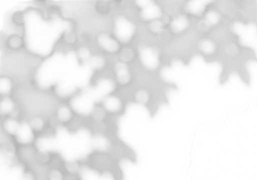 Abstract soft shadow pattern of leaves on a transparent background