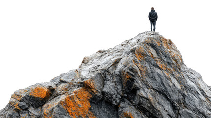Businessman standing on top of a mountain peak