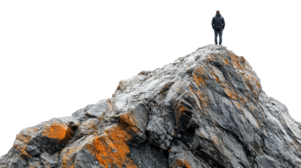 Businessman standing on top of a mountain peak