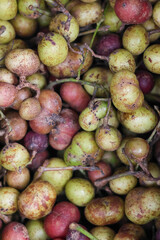 Healthy, ripe pears and juicy green apples at a vibrant Thai fruit market