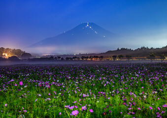 花の都公園から富士山とコスモス