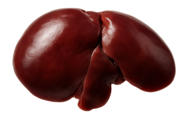 Raw rabbit liver, uncooked