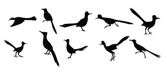 : greater roadrunner vector illustration silhouette set
