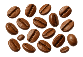 Whole coffee beans, drip coffee specific, medium-coarse grind