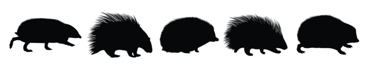 hedgehog silhouettes illustration set vector © maryai