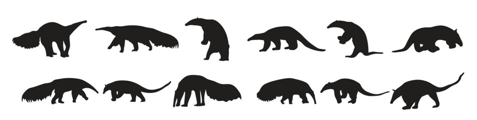 Set anteater silhouette vector illustration
