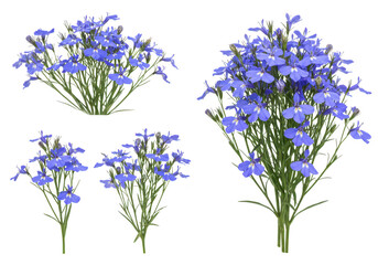 Fototapeta premium A collection of vibrant blue lobelia flowers with green stems and leaves, isolated on a transparent background