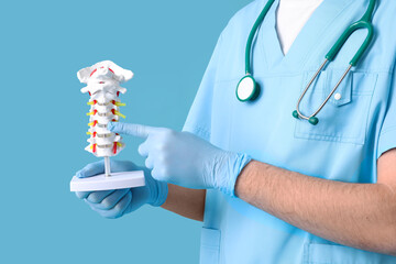 Male doctor demonstrating spinal anatomy with vertebral column model on blue background