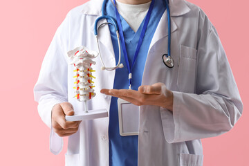 Male doctor showing spine model on pink background