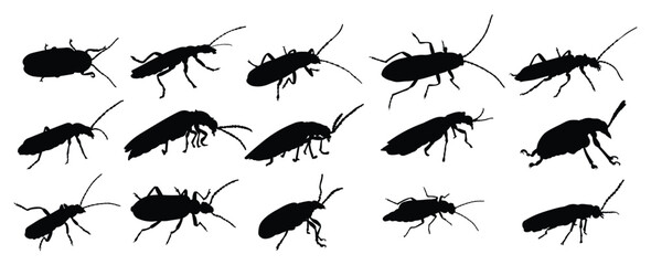 Set of firefly insect silhouette illustrations