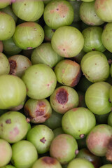 Fresh and healthy green apples for sale at a local produce market