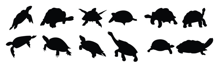 Set of turtle animal silhouettes of various styles
