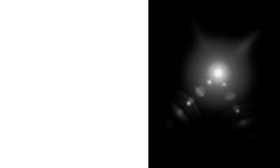Mysterious Glowing Light Entity with Bokeh Flares on Transparent Background
