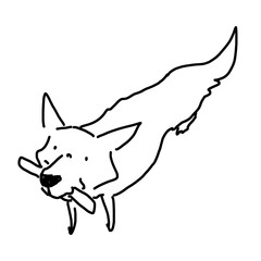 持ってきましたよ