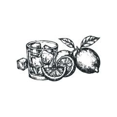 Glass of Whiskey with Ice and Lemon Slices Hand Drawn Sketch
