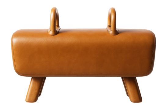 Pommel horse with wooden handles