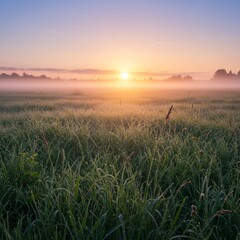 Fototapeta premium Misty Sunrise Over Dew-Covered Field