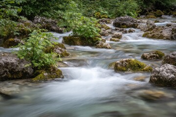 Clear mountain stream rushing over rocks
