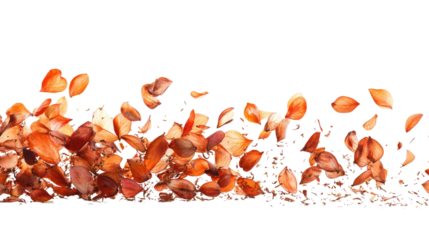 Falling almond isolated on white background