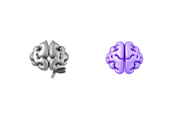 3D Brains Silver and Purple Renderings on Transparent Background